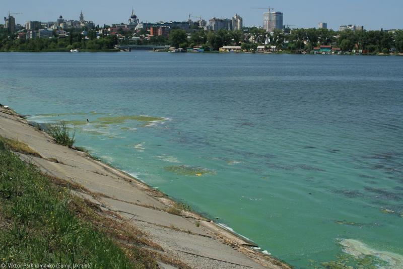 велопоездка 2012 года - Сумы-Белгород-Острогожск-Борисоглебск-Воронеж-Курск-Сумы