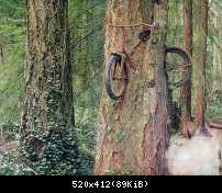 Дерево с велосипедом