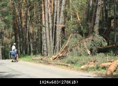 фото к рассказу "Воронежская сага 2012"