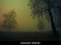 Ночь, туман, странствие ...