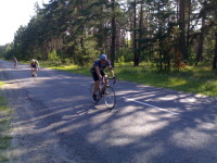 PK... Gastello... AlexN10... (79 )